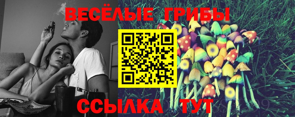Галлюциногенные грибы Cubensis Урус-Мартан