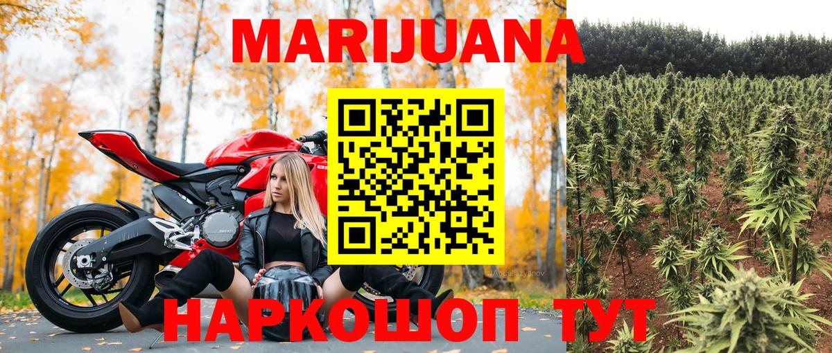 Канабис Bruce Banner Урус-Мартан